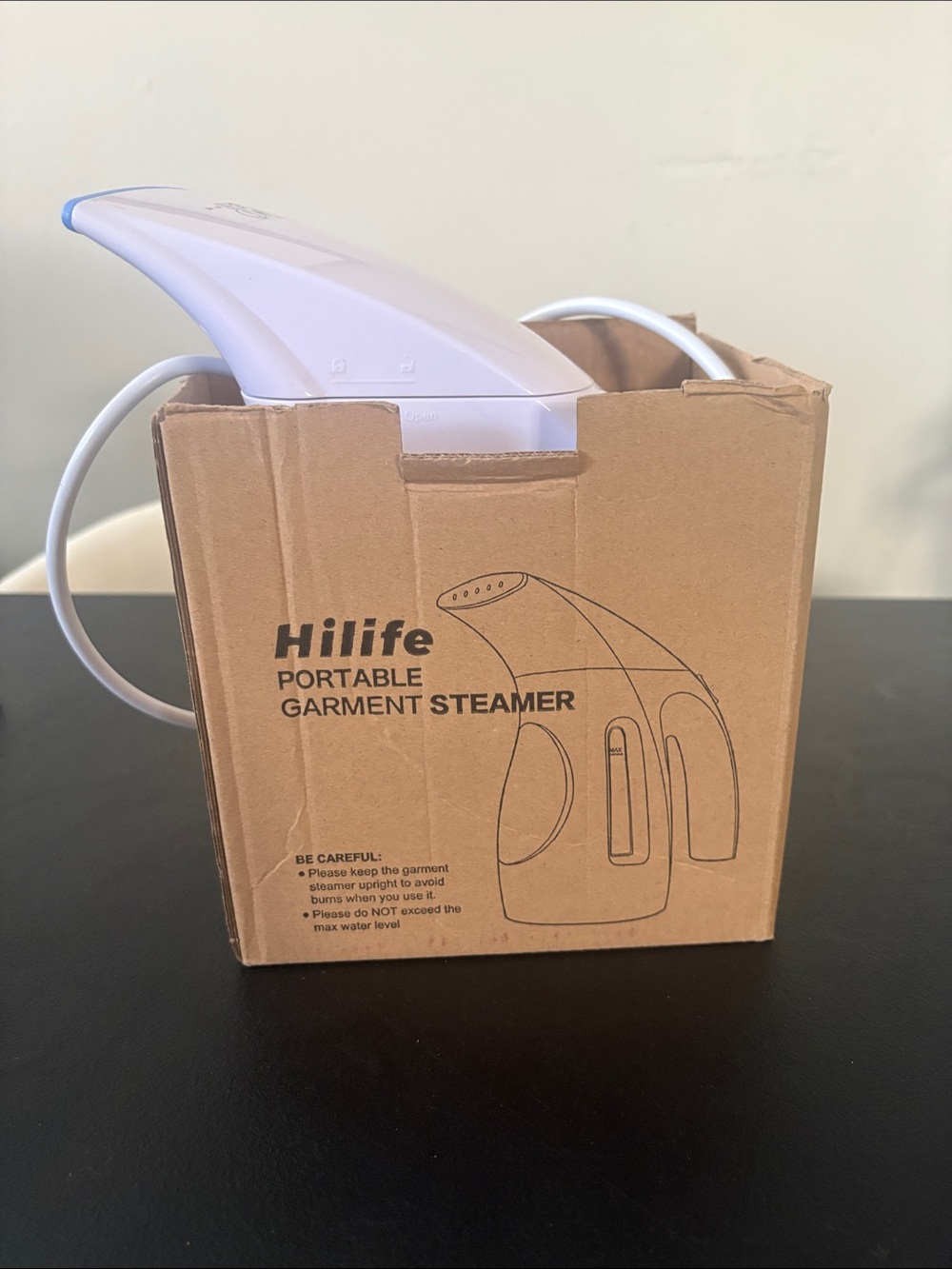 Portable Garment Steamer - White